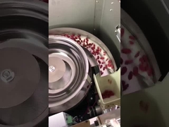 ऊर्ध्वाधर प्रकार ग्रेन्यूल पैकिंग मशीन बहु समारोह चॉकलेट बीन्स के लिए अखरोट स्नैक्स