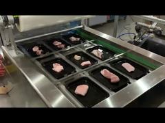 वैक्यूम चेन