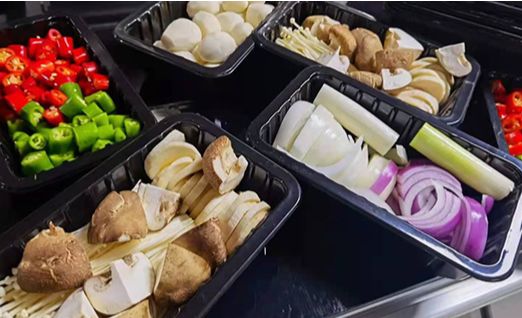 Plastic Material Tray Electric Sealer DF250T High Quality Semi-Automatic Fast Food Box Tray Sealer Machine