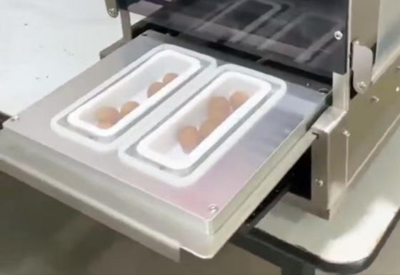 Factory Direct Sale Stainless Steel Automatic Food Tray Sealer Machine DF250TA with Electronic Temperature Controller and Customizable Mould Dimension